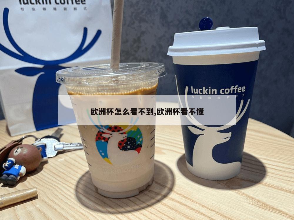 欧洲杯怎么看不到,欧洲杯看不懂