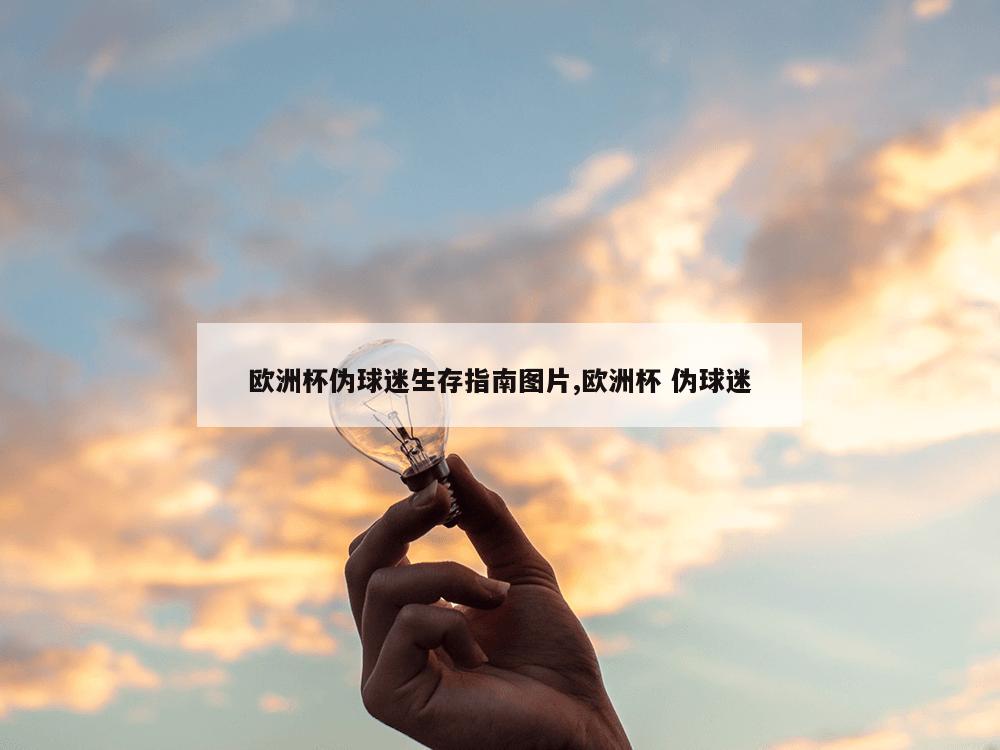 欧洲杯伪球迷生存指南图片,欧洲杯 伪球迷