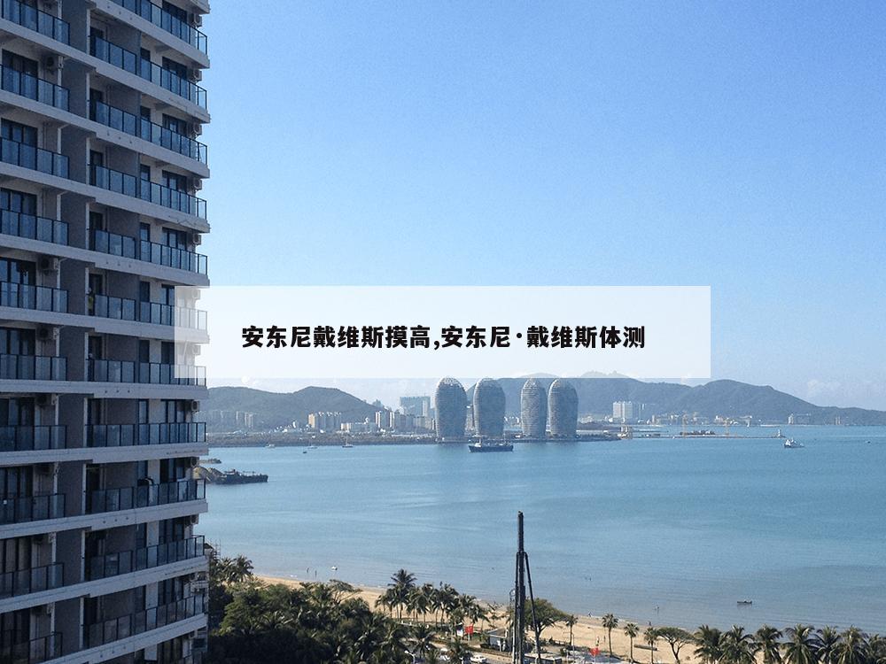 安东尼戴维斯摸高,安东尼·戴维斯体测