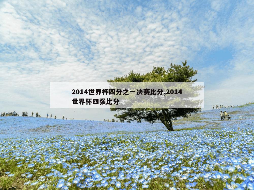 2014世界杯四分之一决赛比分,2014世界杯四强比分