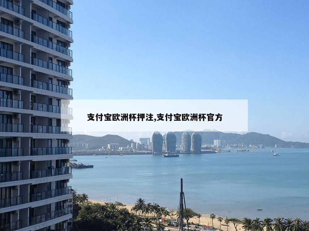 支付宝欧洲杯押注,支付宝欧洲杯官方