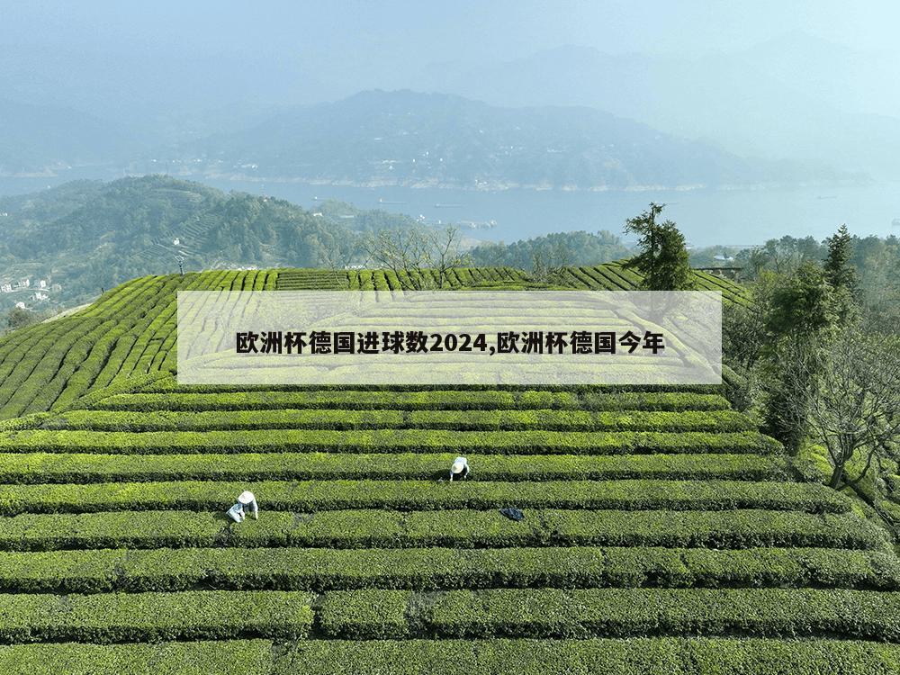 欧洲杯德国进球数2024,欧洲杯德国今年