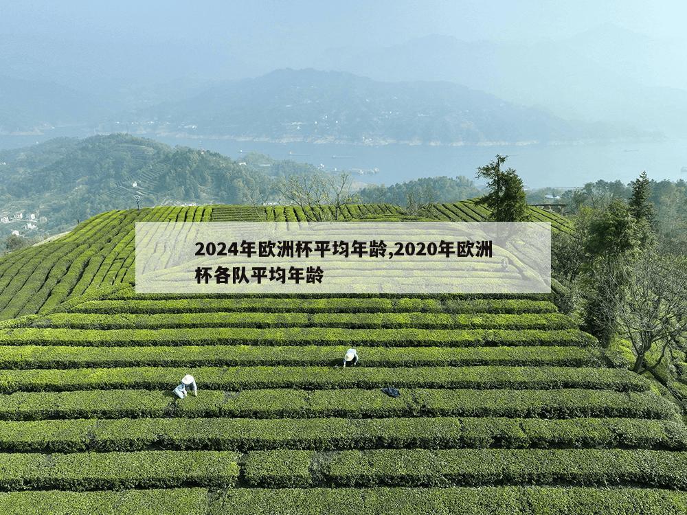 2024年欧洲杯平均年龄,2020年欧洲杯各队平均年龄