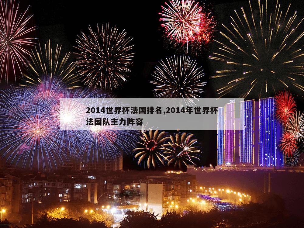 2014世界杯法国排名,2014年世界杯法国队主力阵容