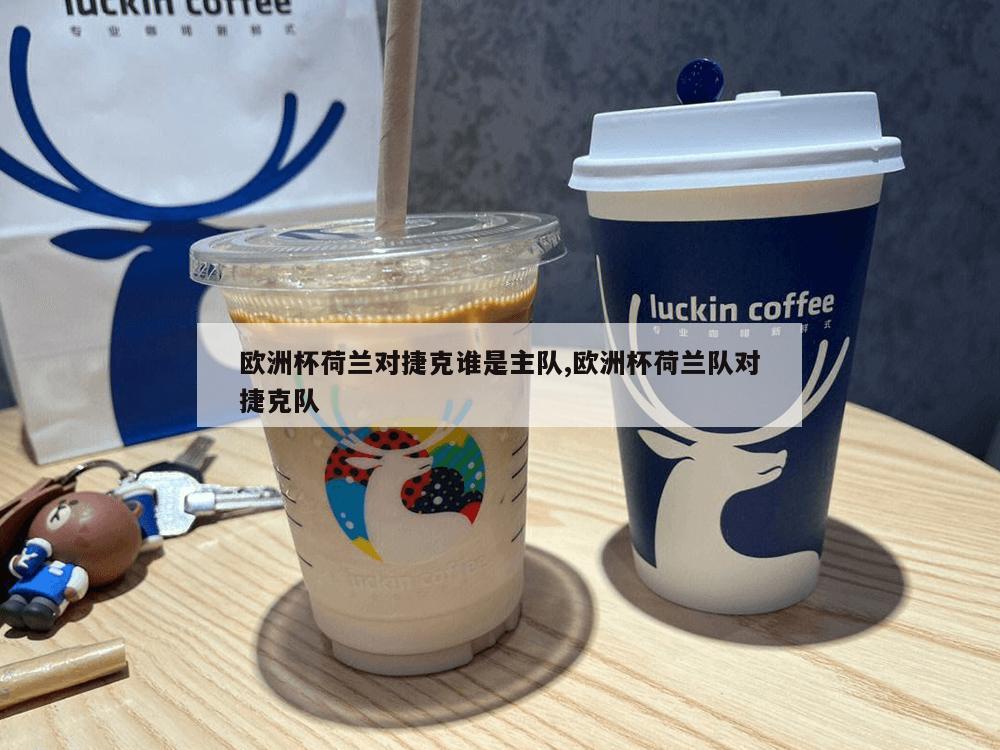 欧洲杯荷兰对捷克谁是主队,欧洲杯荷兰队对捷克队