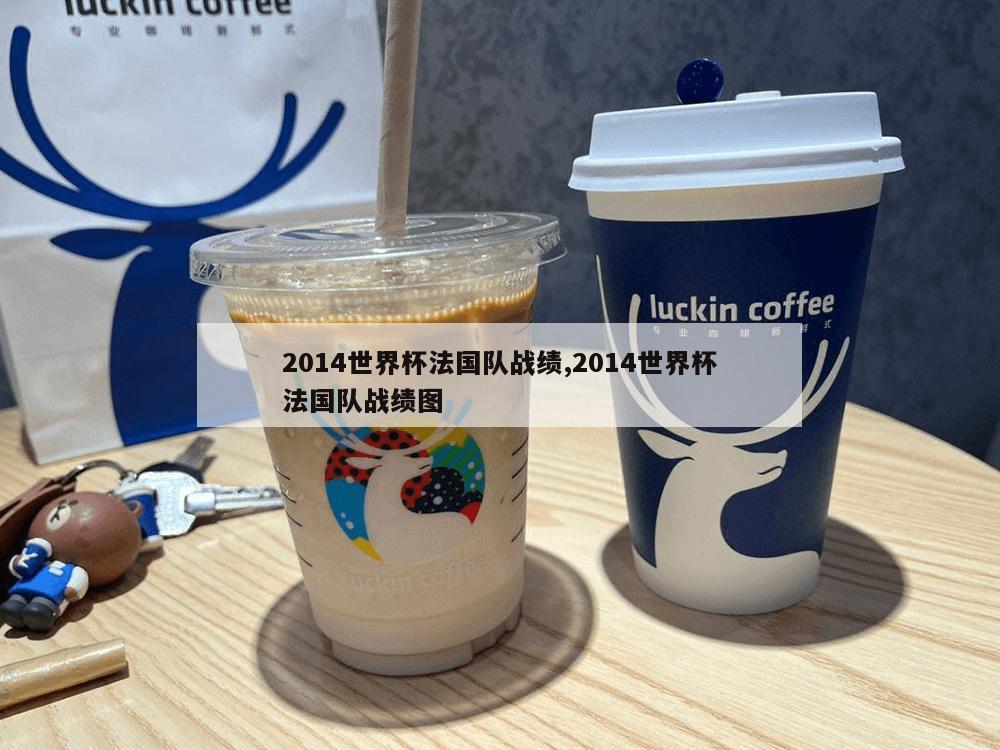 2014世界杯法国队战绩,2014世界杯法国队战绩图