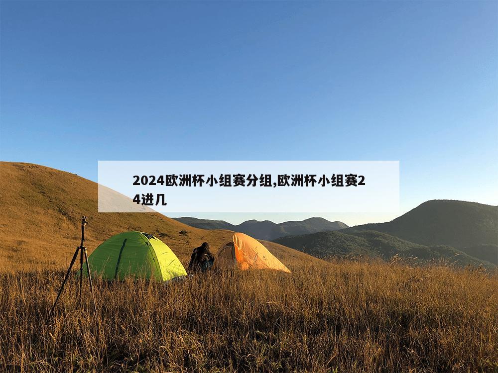 2024欧洲杯小组赛分组,欧洲杯小组赛24进几