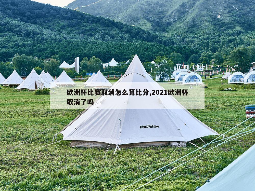 欧洲杯比赛取消怎么算比分,2021欧洲杯取消了吗