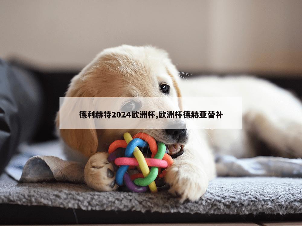 德利赫特2024欧洲杯,欧洲杯德赫亚替补