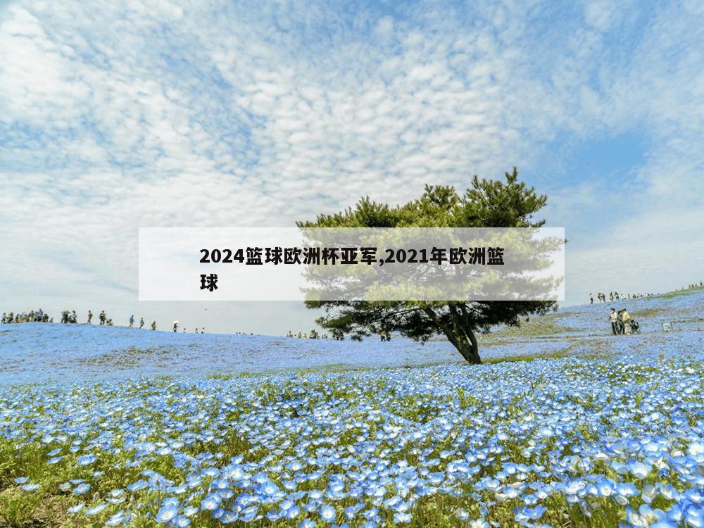 2024篮球欧洲杯亚军,2021年欧洲篮球