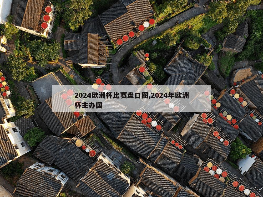 2024欧洲杯比赛盘口图,2024年欧洲杯主办国