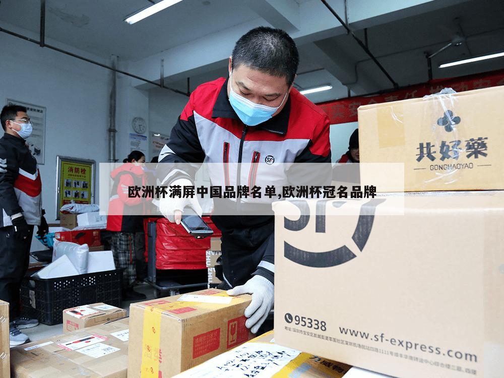 欧洲杯满屏中国品牌名单,欧洲杯冠名品牌