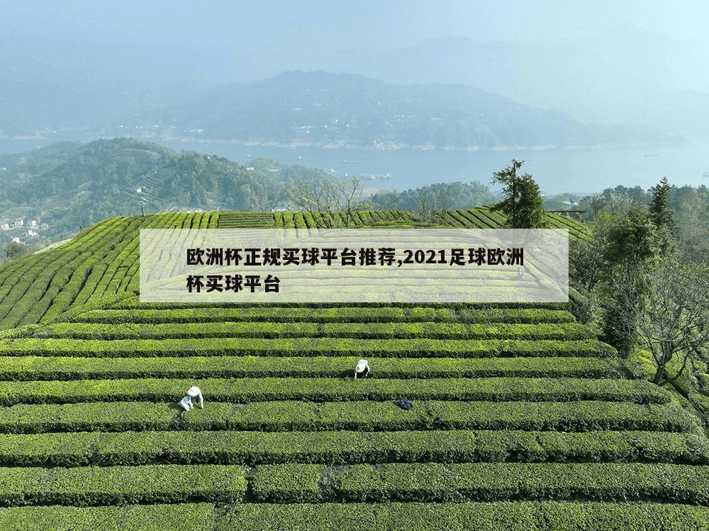 欧洲杯正规买球平台推荐,2021足球欧洲杯买球平台