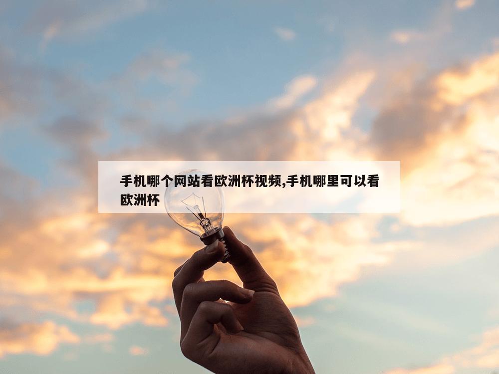 手机哪个网站看欧洲杯视频,手机哪里可以看欧洲杯