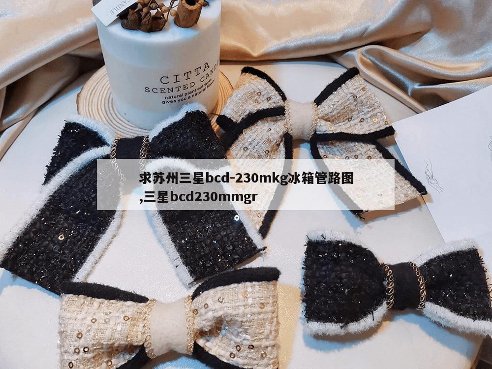 求苏州三星bcd-230mkg冰箱管路图,三星bcd230mmgr