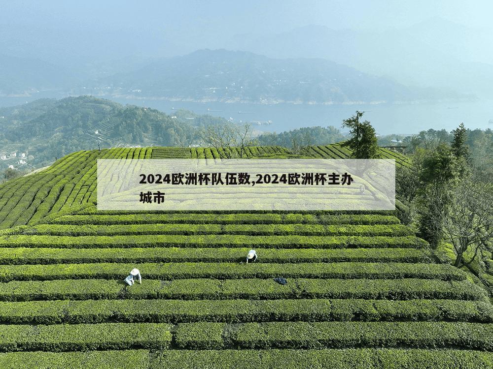 2024欧洲杯队伍数,2024欧洲杯主办城市