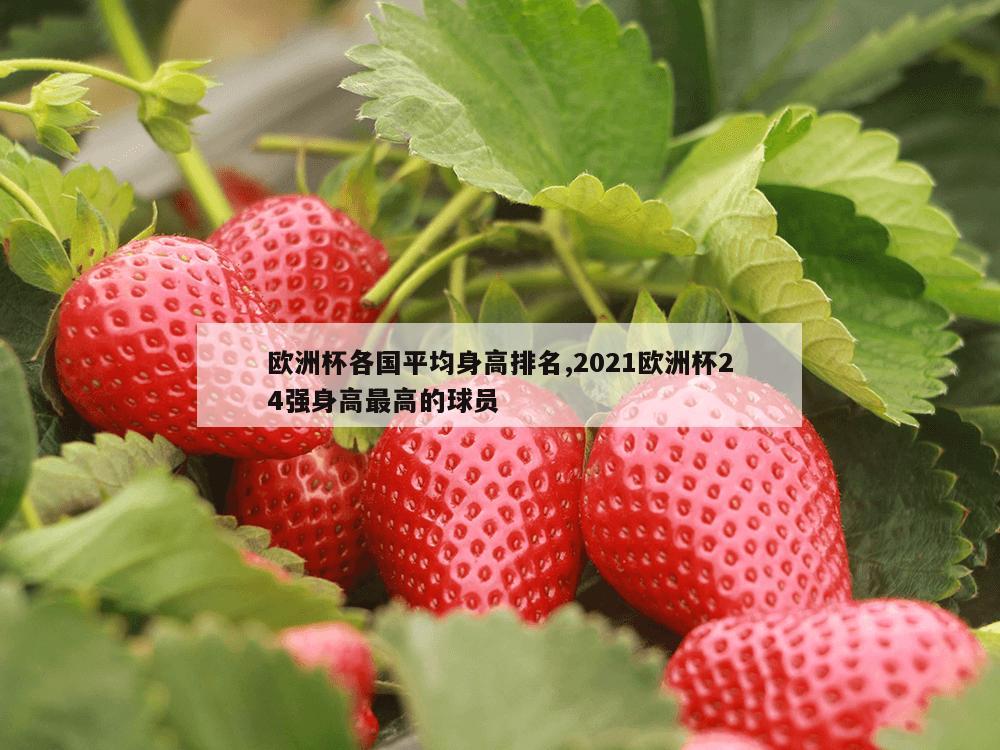 欧洲杯各国平均身高排名,2021欧洲杯24强身高最高的球员