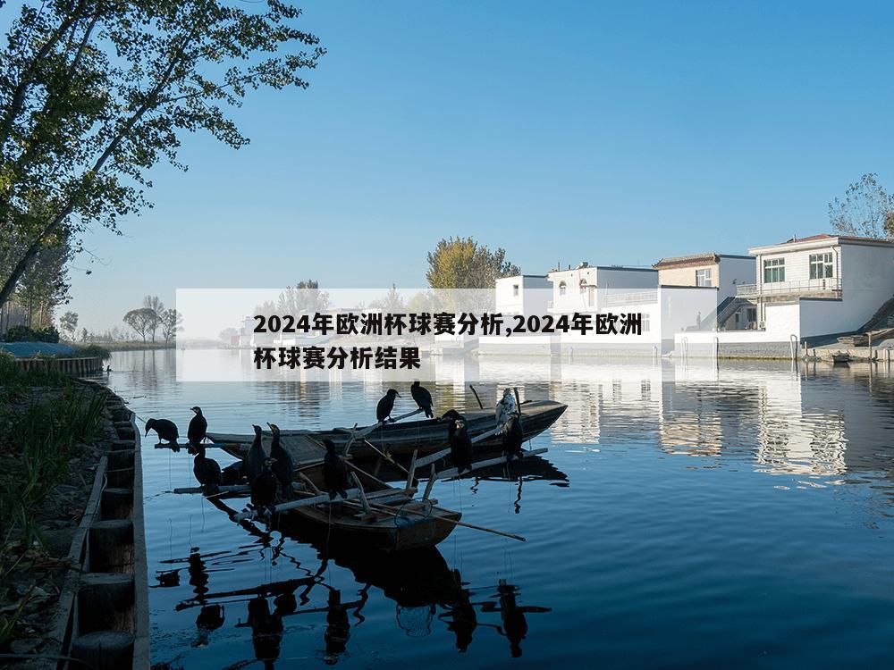 2024年欧洲杯球赛分析,2024年欧洲杯球赛分析结果