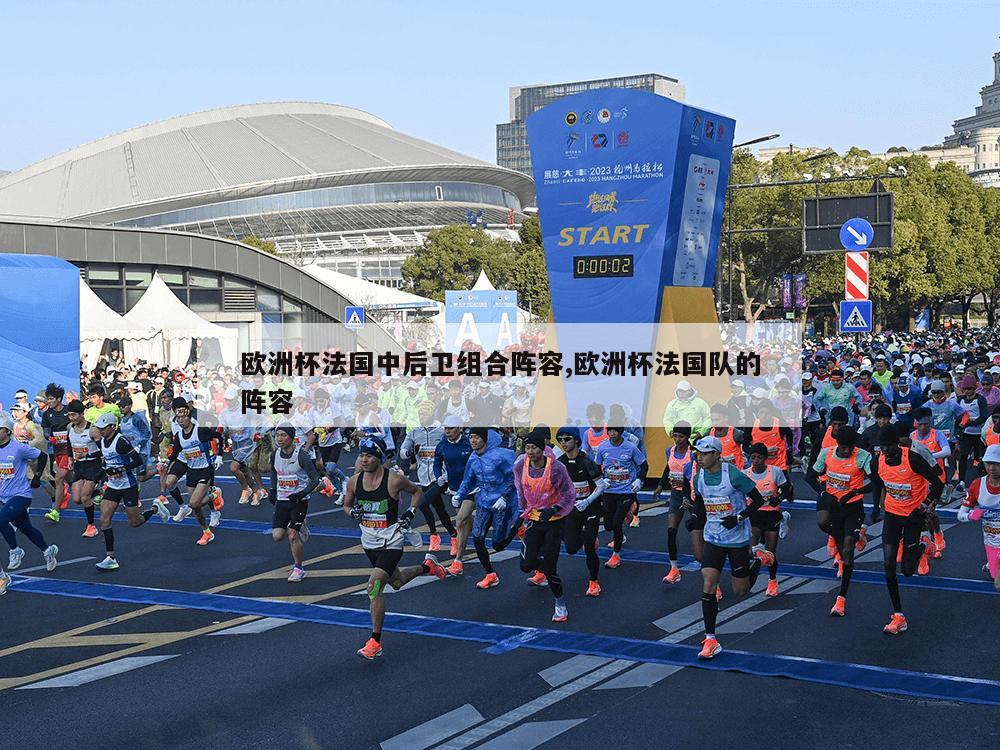 欧洲杯法国中后卫组合阵容,欧洲杯法国队的阵容