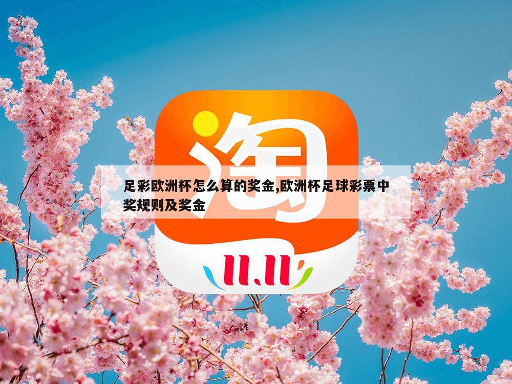 足彩欧洲杯怎么算的奖金,欧洲杯足球彩票中奖规则及奖金