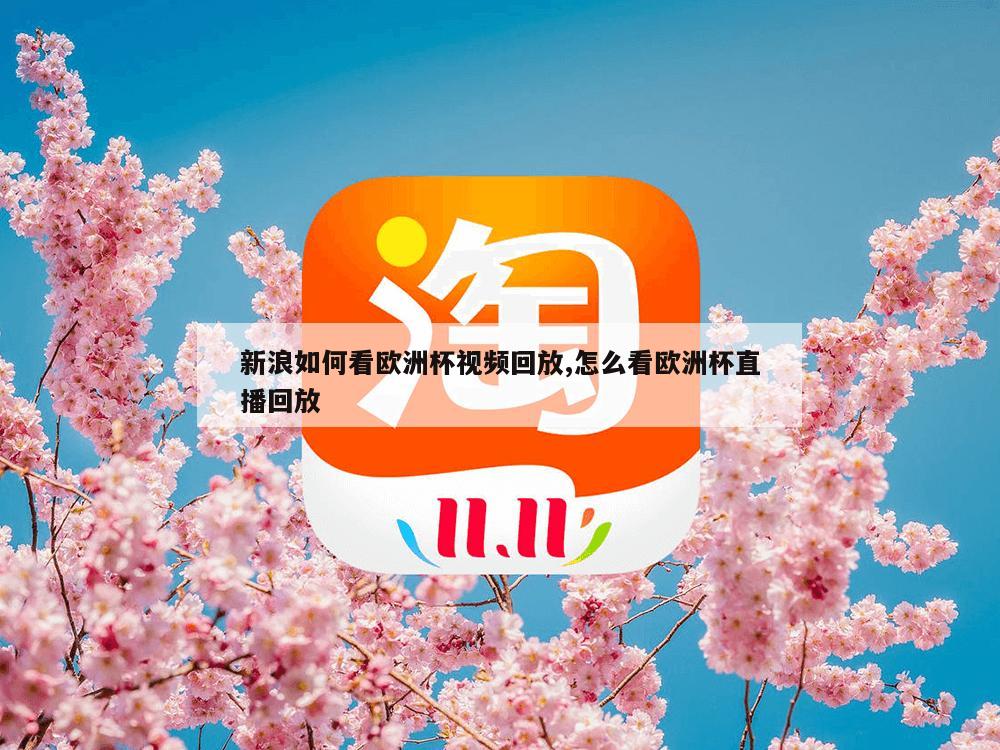 新浪如何看欧洲杯视频回放,怎么看欧洲杯直播回放