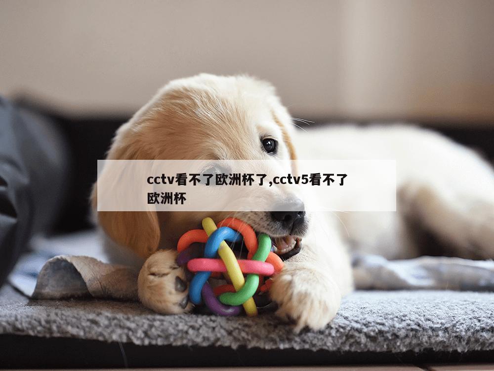 cctv看不了欧洲杯了,cctv5看不了欧洲杯